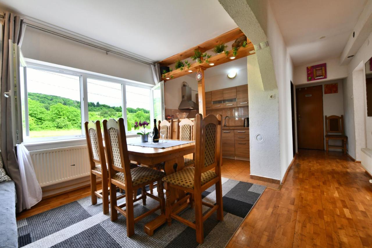 Apartment Marija Zupan Раковица Екстер'єр фото